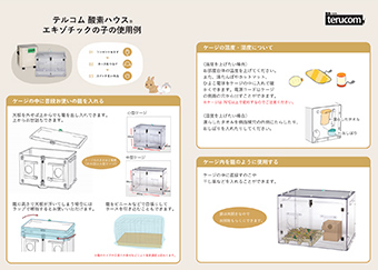 エキゾチックの使用例